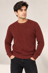 AllSaints Men Brown Crew Neck Knit Jumper