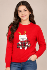 Christmas Red Girls Festive Pig Graphic Knit Sweater