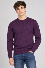 Next Men Purple Crew Neck Knitted Jumper