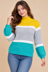 PAPAYA Women Colour Block High Neck Knitted Jumper