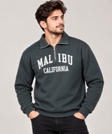 SHEIN Men Malibu California Graphic Quarter Zip Sweatshirt